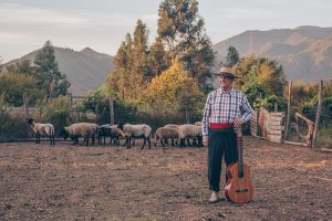 guitarra zapata osvaldo