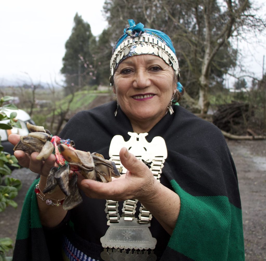 Fresia Araya artesana