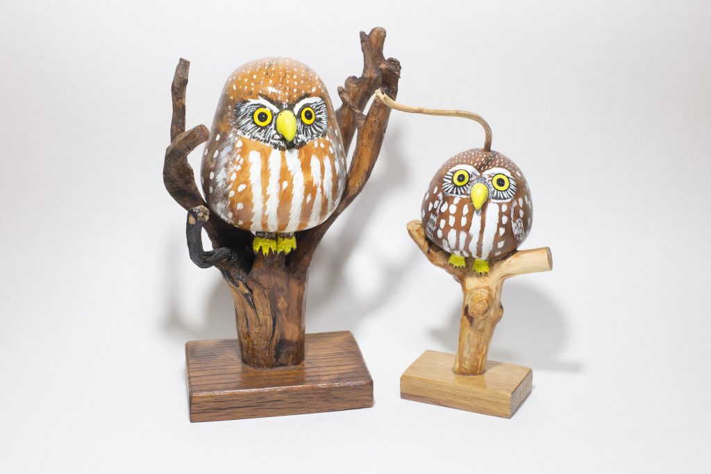 artesania calabaza artesania calabaza